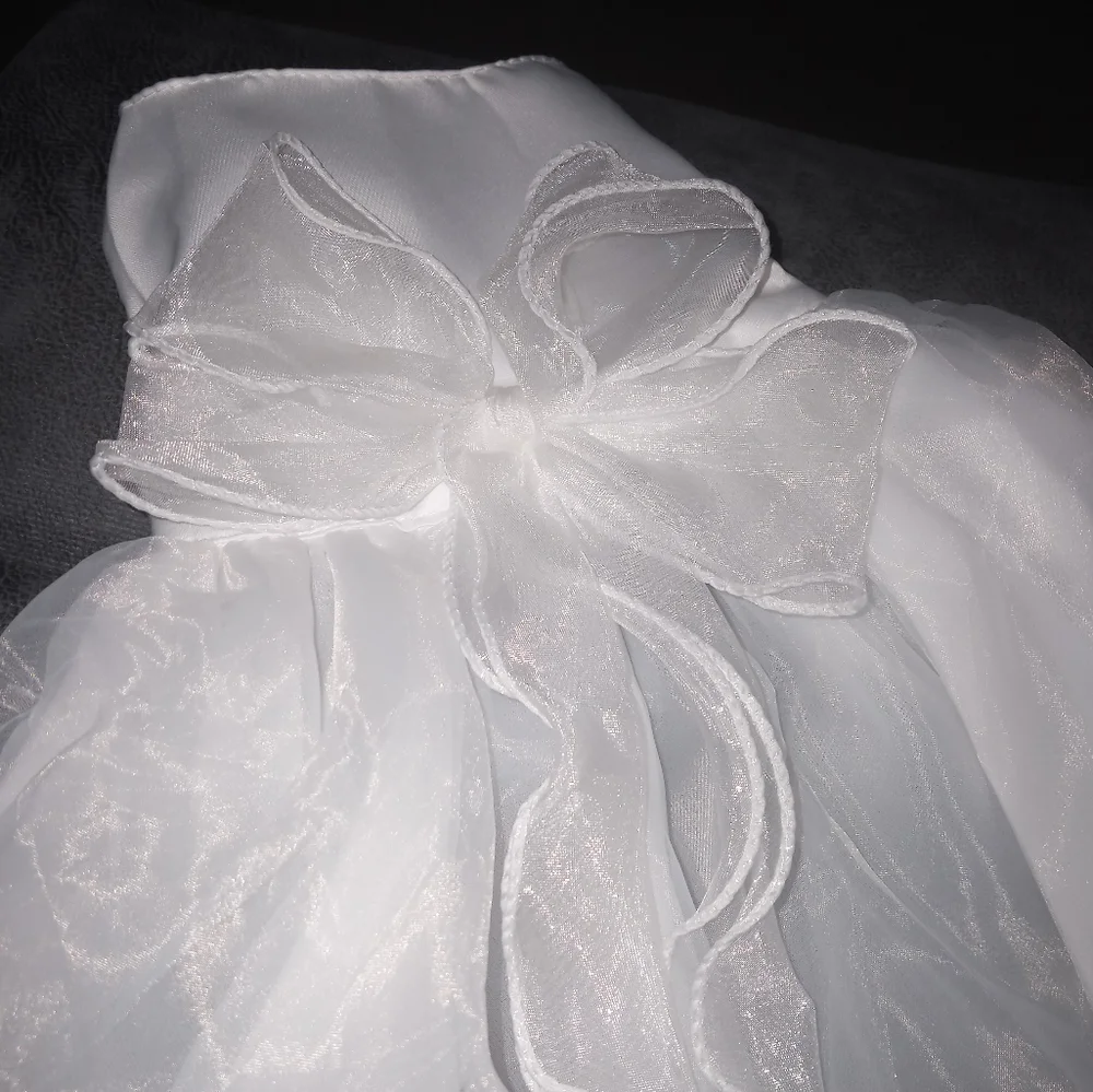 New dog wedding dress with tulle